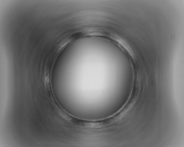 X0000113291281200909281005