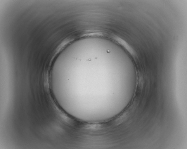 X0000113291282200909281005