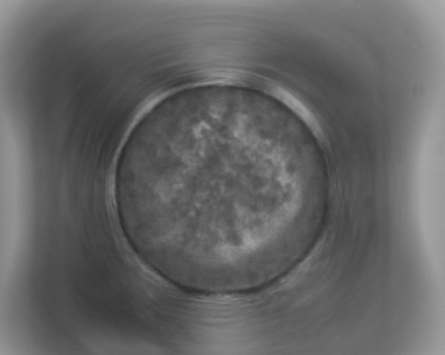 X0000113291283200909281005