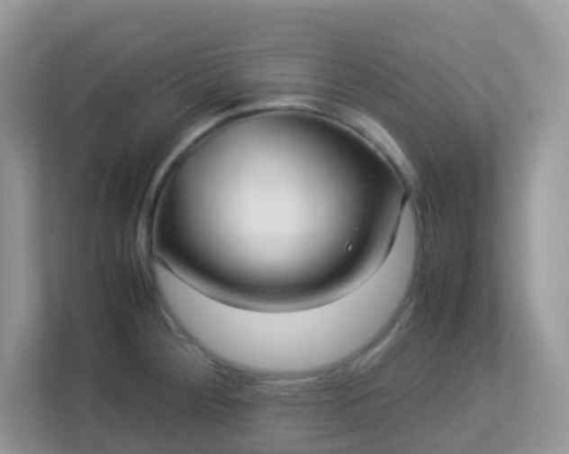 X0000113291284200909281005