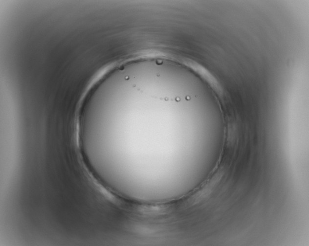 X0000113291286200909281004