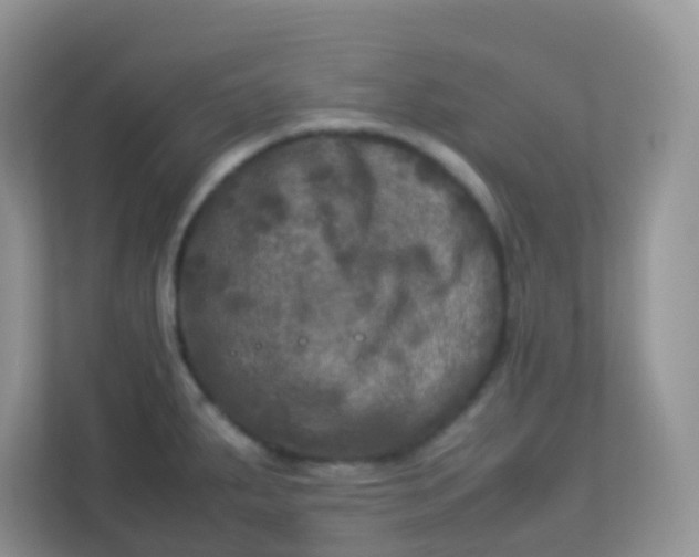 X0000113291287200909281004