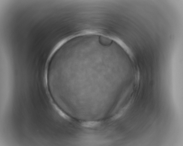 X0000113291294200909281004