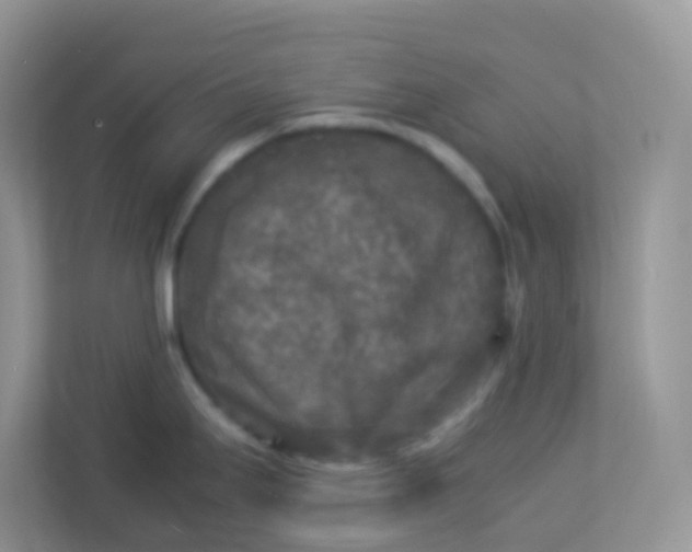 X0000113291295200909281004