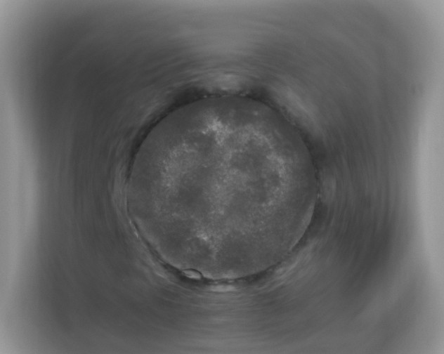 X0000113291297200909281004