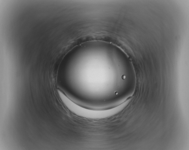 X0000113291298200909281004