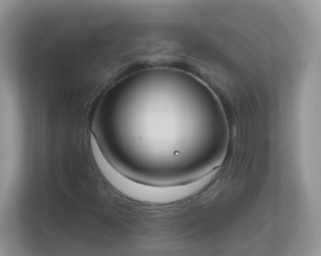 X0000113291300200909281004