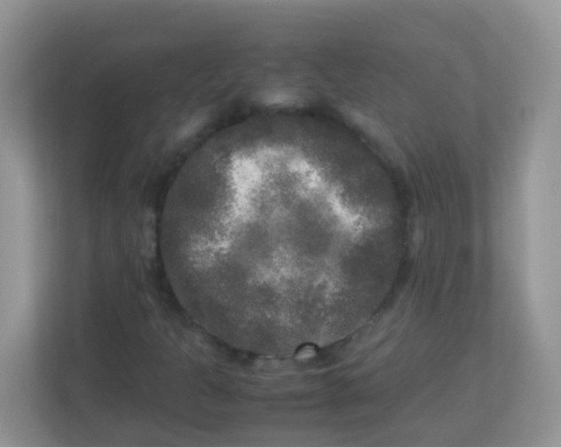 X0000113291301200909281004