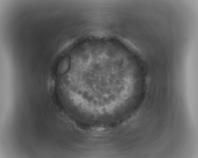 X0000113291302200909281004