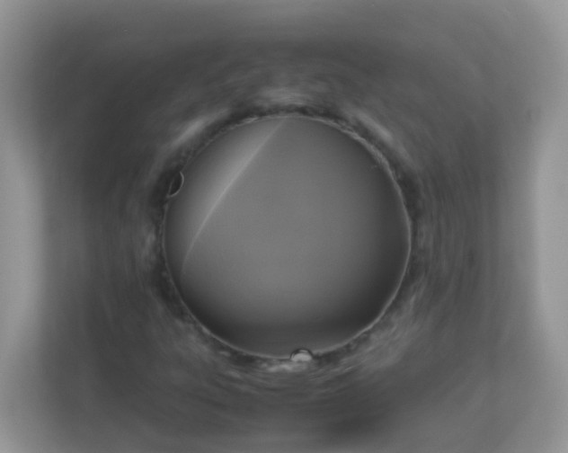 X0000113291303200909281004