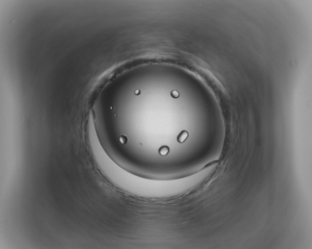 X0000113291304200909281004