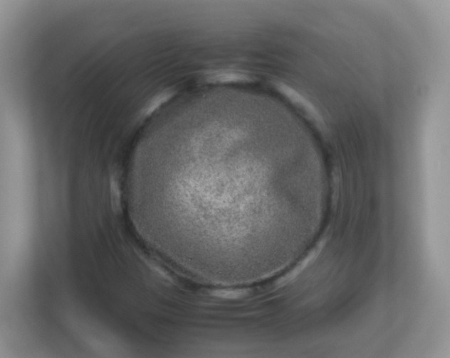 X0000113291305200909281004