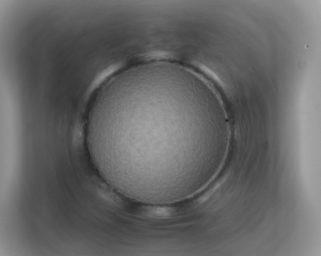 X0000113291309200909281004