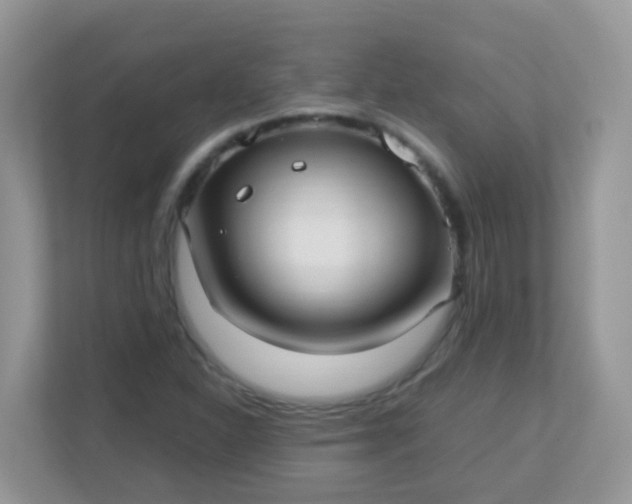 X0000113291310200909281004