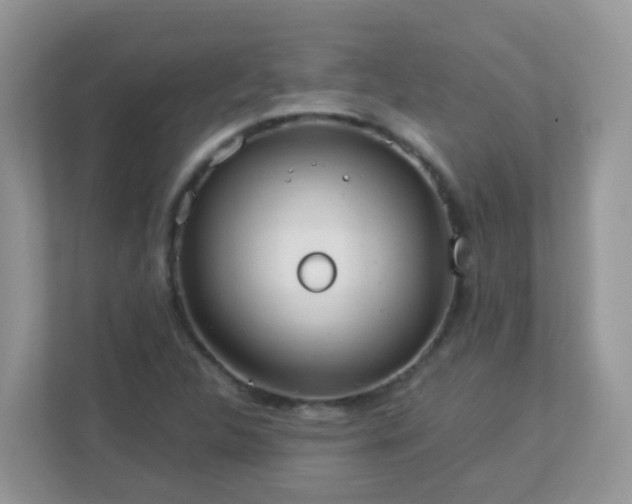 X0000113291312200909281004