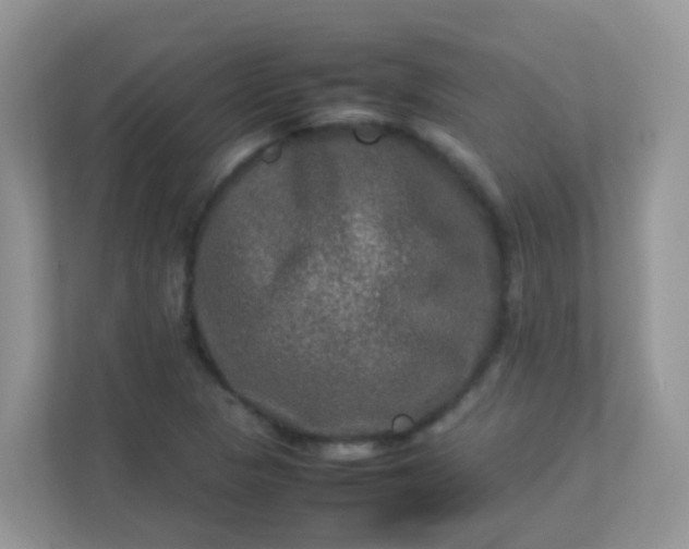 X0000113291313200909281004