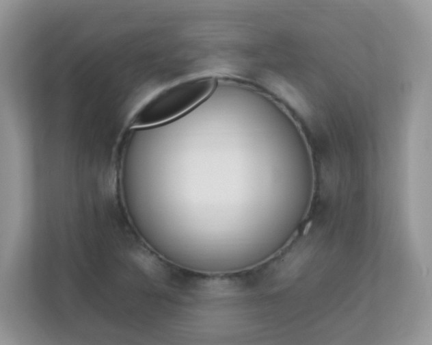 X0000113291316200909281004