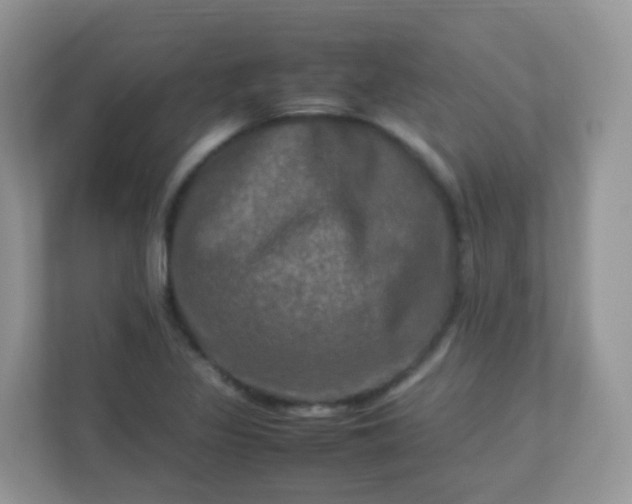 X0000113291317200909281004