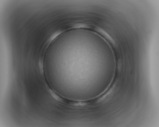 X0000113291321200909281004