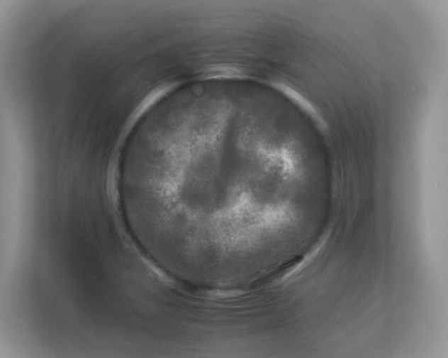 X0000113291325200909281004