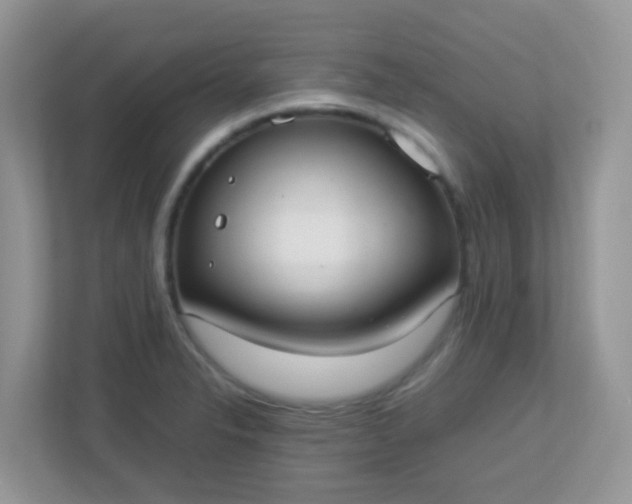 X0000113291326200909281004