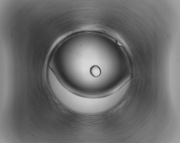 X0000113291328200909281004