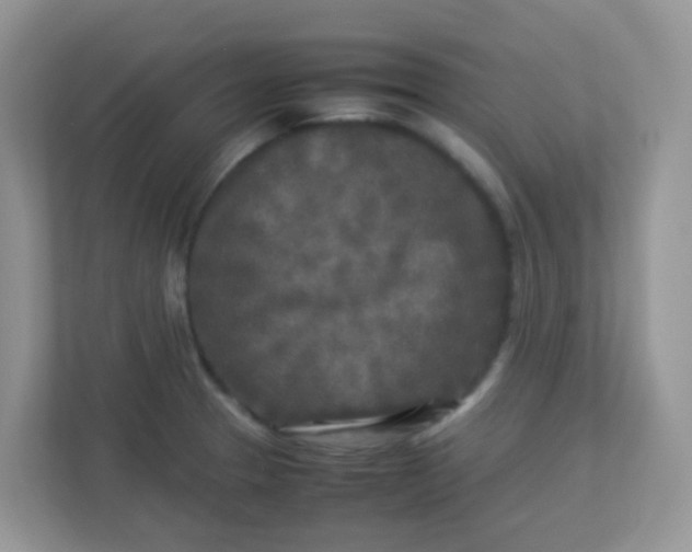 X0000113291329200909281004