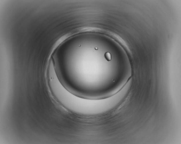 X0000113291330200909281004