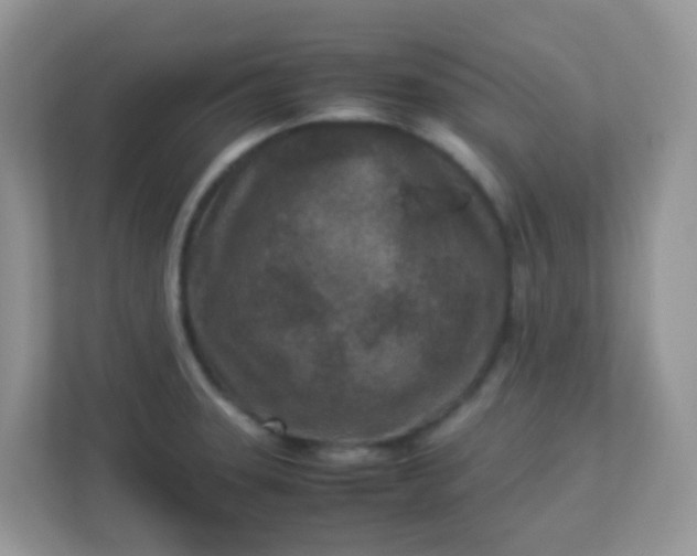 X0000113291331200909281004