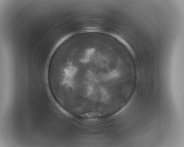 X0000113291333200909281004