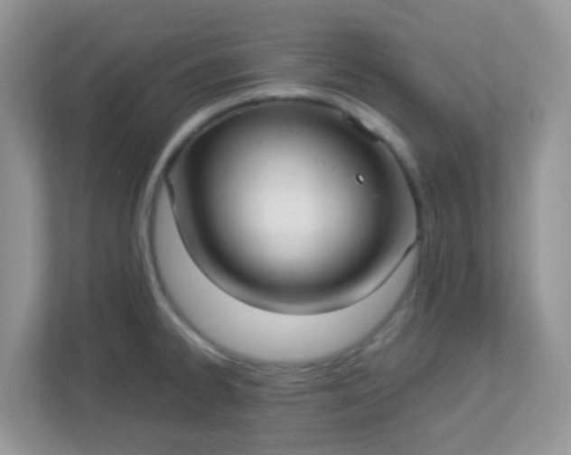 X0000113291334200909281004