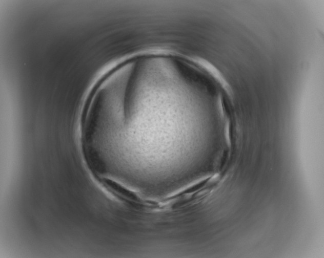 X0000113291335200909281004