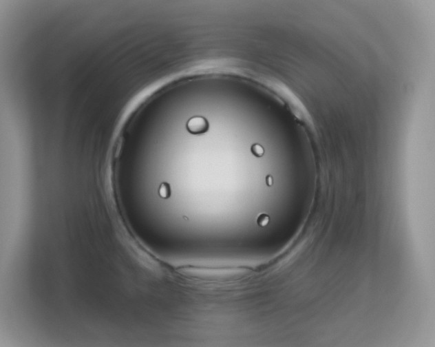 X0000113291336200909281004