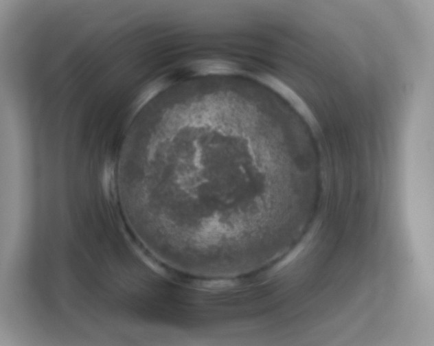 X0000113291337200909281004