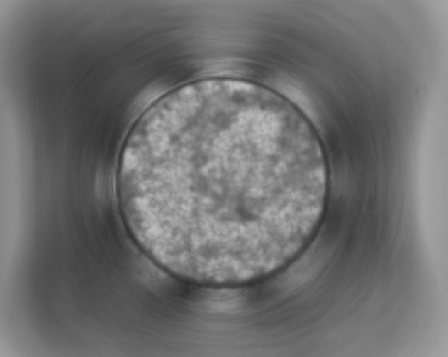 X0000113291338200909281004