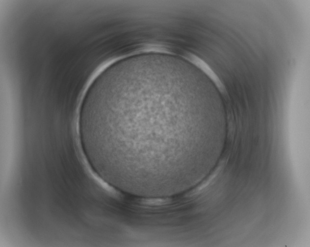 X0000113291339200909281004