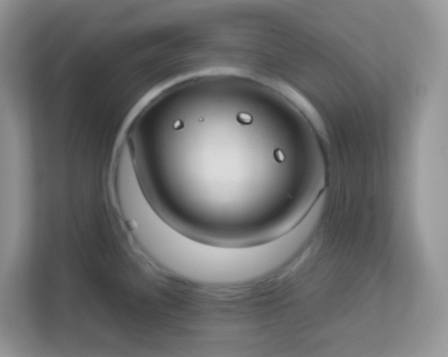 X0000113291340200909281004