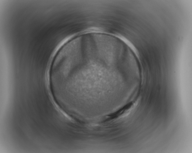 X0000113291341200909281004