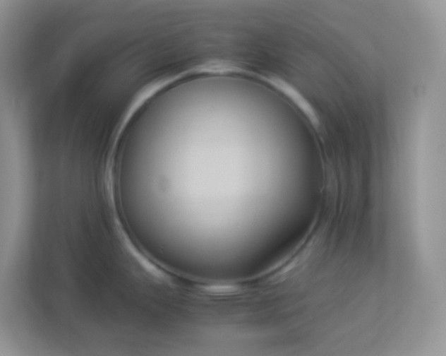 X0000113291343200909281004