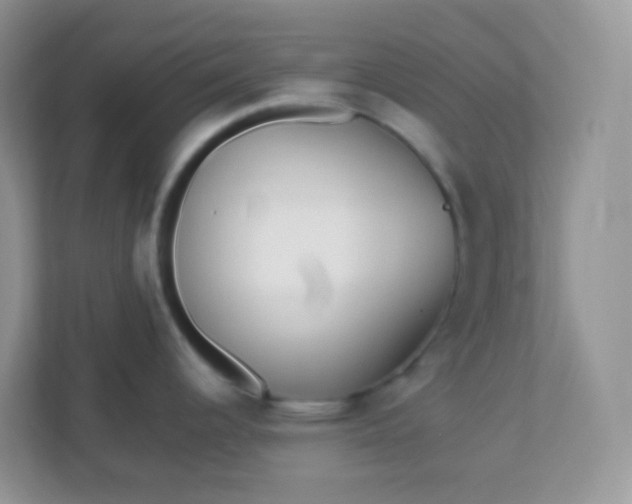 X0000113291344200909281004