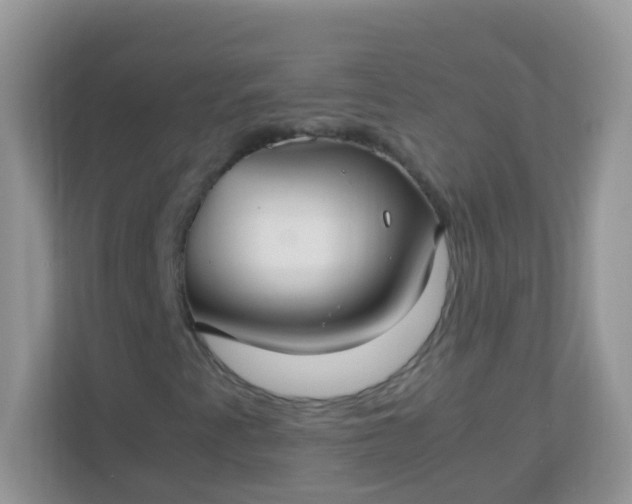 X0000113291345200909281004