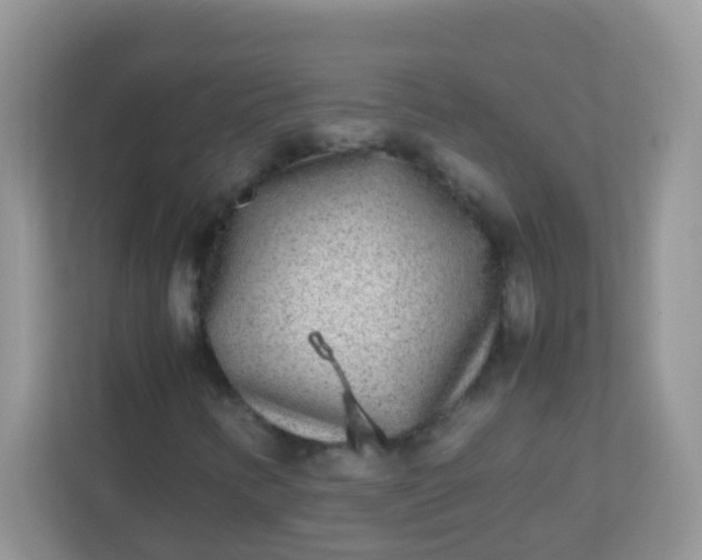 X0000113291346200909281004