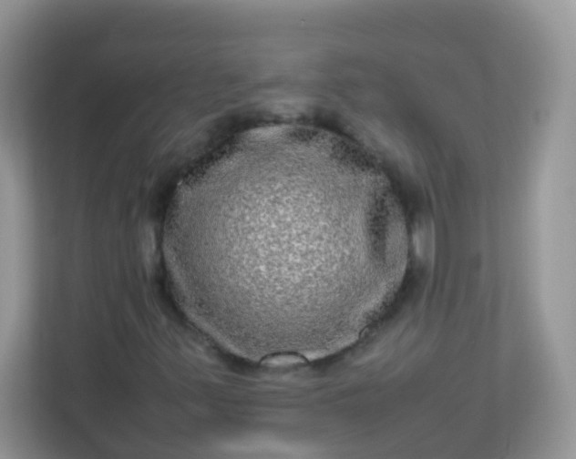 X0000113291347200909281004