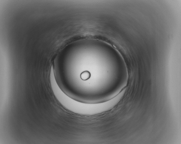 X0000113291348200909281004