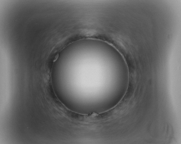 X0000113291349200909281004