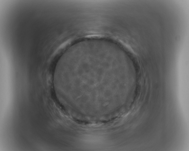 X0000113291351200909281004