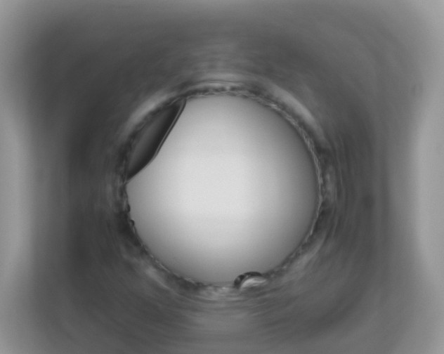 X0000113291352200909281004