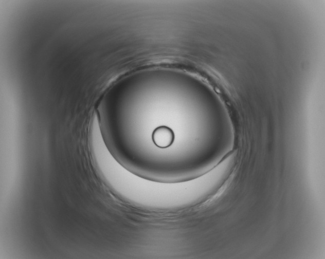 X0000113291353200909281004