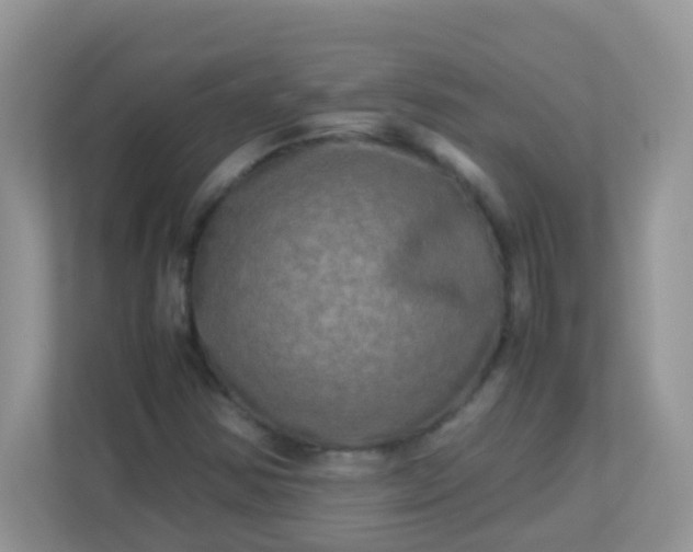 X0000113291354200909281004