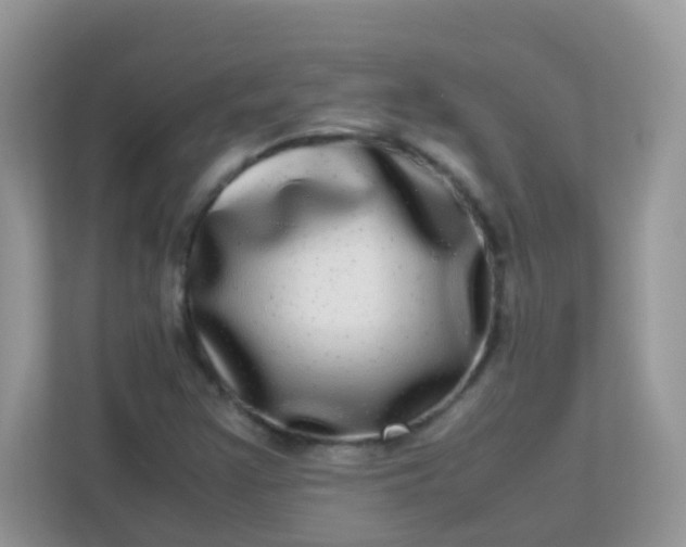 X0000113291355200909281004